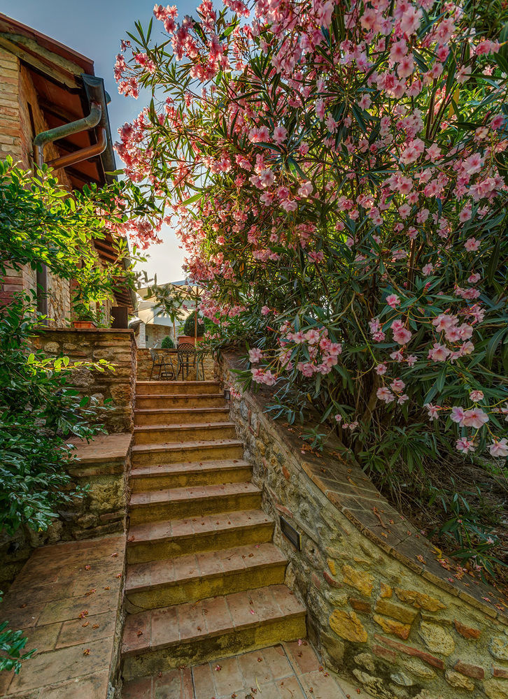Agriturismo Casanova Di Pescille San Gimignano Bagian luar foto